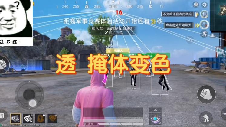 和平精英火焰鸟下载免费 - 热门直装辅助再次来袭